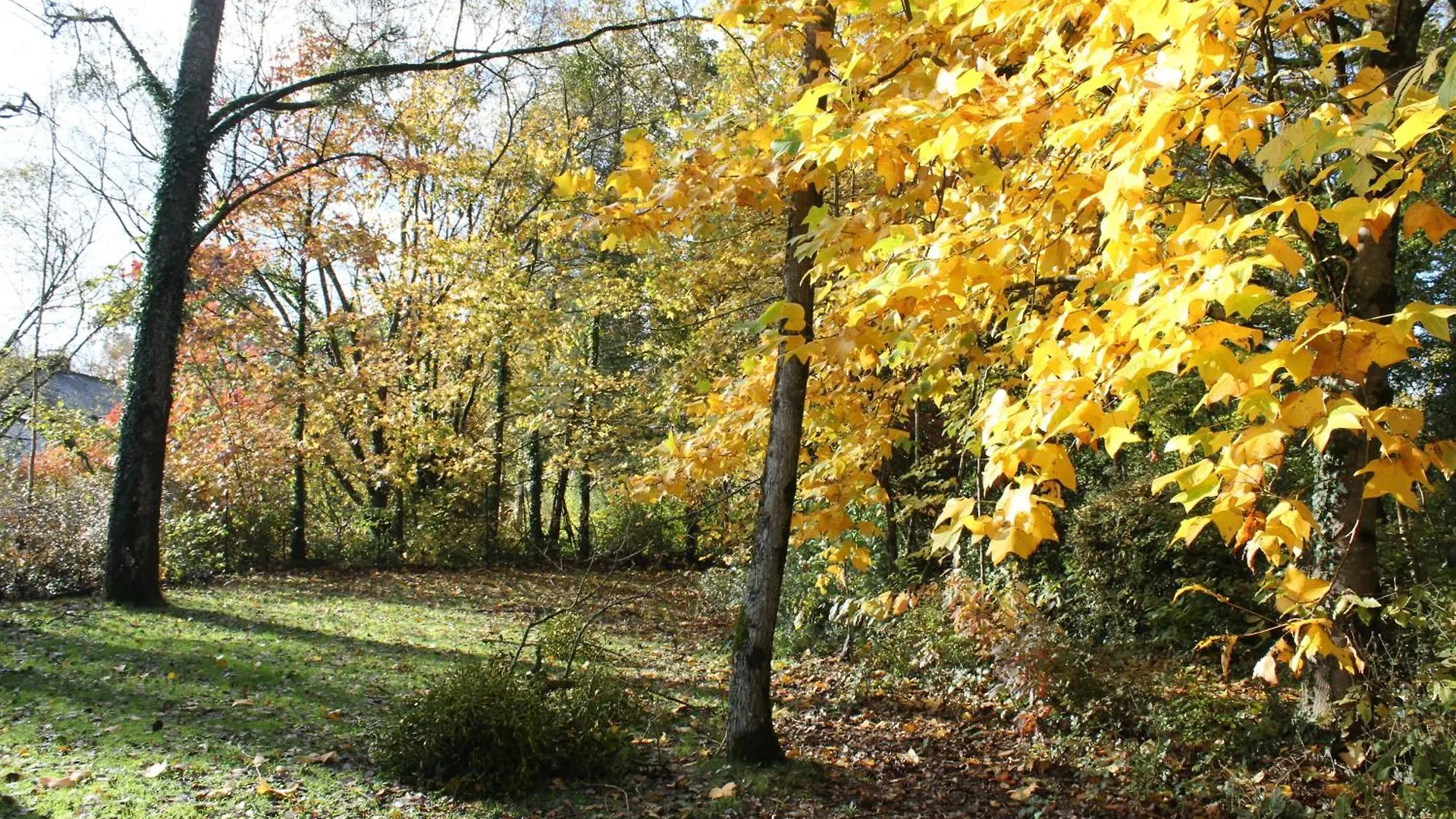 Gite De L'Ermitage En Broceliande 2 A 4 Personnes Mauron Holiday home